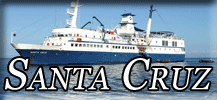 Santa Cruz button
